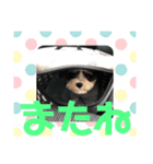 じろ(262)（個別スタンプ：3）