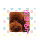 雪乃(264)（個別スタンプ：1）