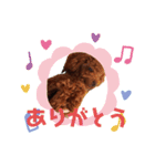 雪乃(264)（個別スタンプ：3）