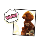 雪乃(264)（個別スタンプ：4）