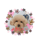 まめねねぽん（個別スタンプ：12）