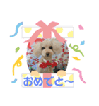まめねねぽん（個別スタンプ：15）