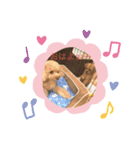 可愛いワンコ挨拶スタンプ（個別スタンプ：2）