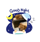 可愛いワンコ挨拶スタンプ（個別スタンプ：6）