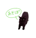 黒猫すたんぷ_よる（個別スタンプ：7）