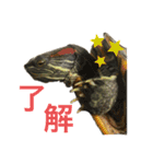 のんちゃんの使える日常スタンプ（個別スタンプ：2）