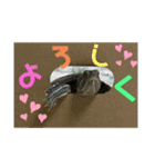 のんちゃんの使える日常スタンプ（個別スタンプ：5）