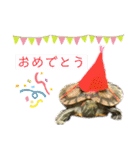 のんちゃんの使える日常スタンプ（個別スタンプ：19）