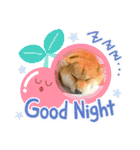 柴犬 モコにょんの日常（個別スタンプ：37）