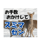 エゾシカ★笑福来（個別スタンプ：5）