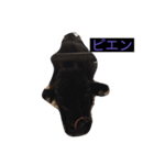 kennji（個別スタンプ：5）