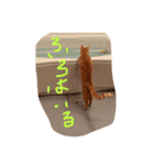 みそしるとびび（個別スタンプ：6）