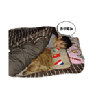 息子の思い出スタンプです2。（個別スタンプ：2）
