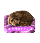 我が家のマメ太君（個別スタンプ：5）