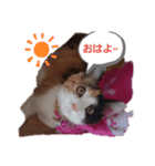 私のともだち！（個別スタンプ：1）