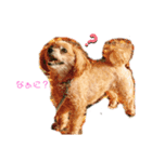 『犬写真』咲先輩 第2弾（個別スタンプ：1）