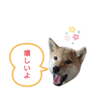小梅スタンプ〈2〉（個別スタンプ：25）