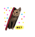 琥珀only（個別スタンプ：7）