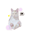 琥珀only（個別スタンプ：27）