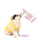 ❤️我が家の天使❤️（個別スタンプ：2）