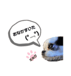 ❤️我が家の天使❤️（個別スタンプ：3）