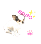 ❤️我が家の天使❤️（個別スタンプ：5）