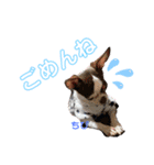 ❤️我が家の天使❤️（個別スタンプ：6）