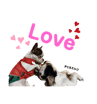 ❤️我が家の天使❤️（個別スタンプ：8）