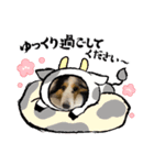 シェルティ HappyNEWyear 2021（個別スタンプ：5）
