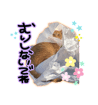 まーくん＆えりか（個別スタンプ：6）