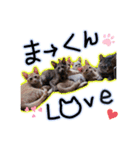 まーくん＆えりか（個別スタンプ：7）