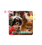 りゅうりゅうと一緒❤年末年始Ver.（個別スタンプ：14）