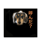 だいきちくんの日常スタンプPart 1（個別スタンプ：2）