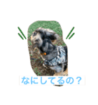 だいきちくんの日常スタンプPart 1（個別スタンプ：7）