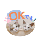 うさぎとくらげ（個別スタンプ：1）