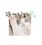 うさぎとくらげ（個別スタンプ：2）
