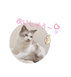 うさぎとくらげ（個別スタンプ：3）