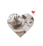 うさぎとくらげ（個別スタンプ：4）