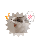 うさぎとくらげ（個別スタンプ：5）