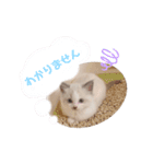 うさぎとくらげ（個別スタンプ：6）