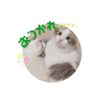 うさぎとくらげ（個別スタンプ：7）