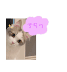 うさぎとくらげ（個別スタンプ：8）