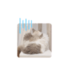 うさぎとくらげ（個別スタンプ：9）