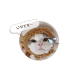 うさぎとくらげ（個別スタンプ：10）