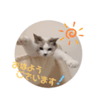 うさぎとくらげ（個別スタンプ：11）