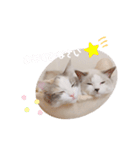 うさぎとくらげ（個別スタンプ：12）