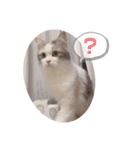 うさぎとくらげ（個別スタンプ：13）