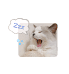 うさぎとくらげ（個別スタンプ：14）