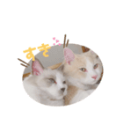 うさぎとくらげ（個別スタンプ：15）