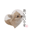うさぎとくらげ（個別スタンプ：16）